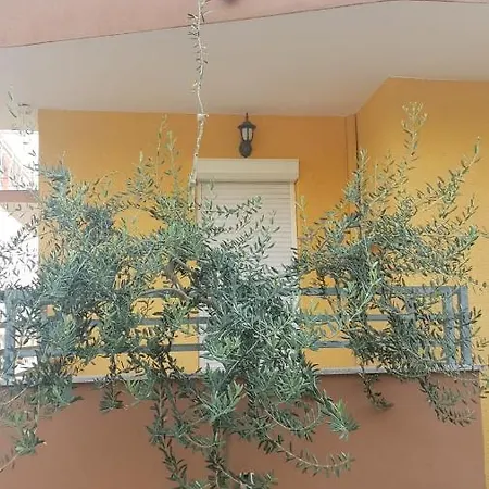Babić *