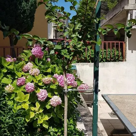 Apartment Babic