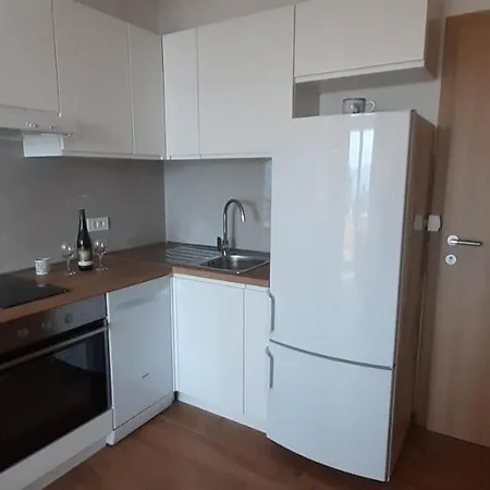 Apartment Babic *